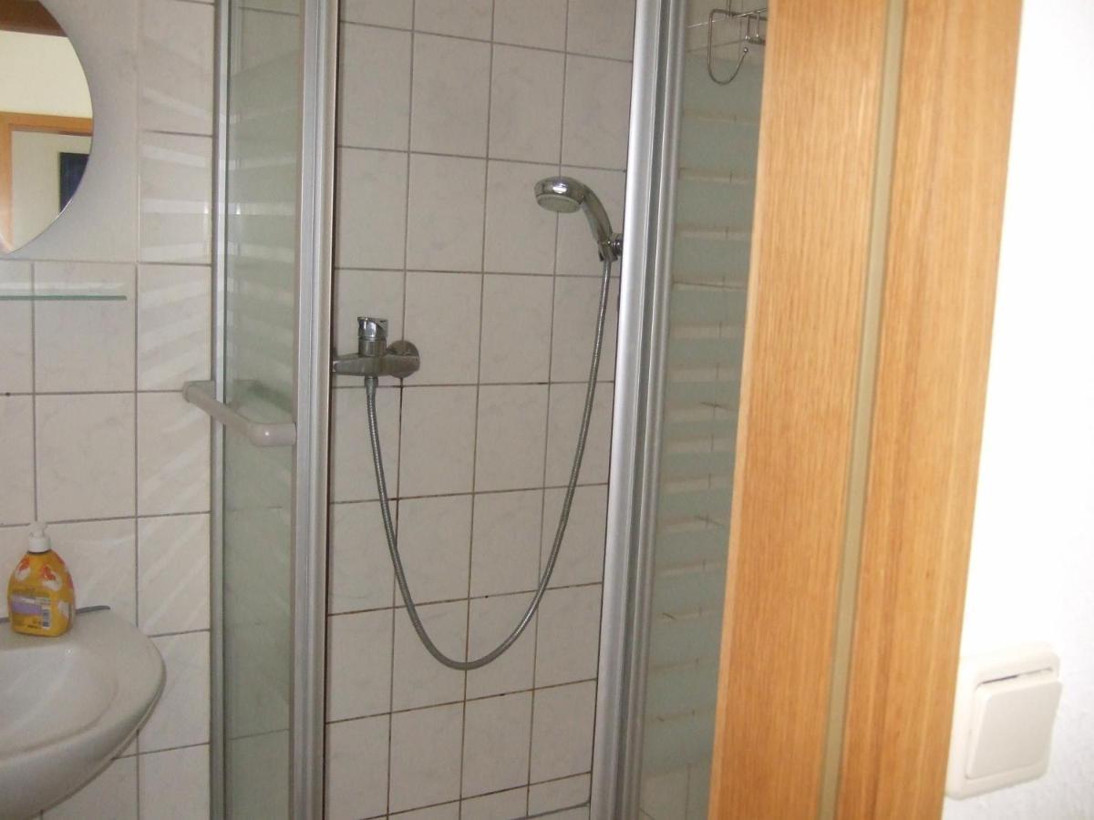 Ferienwohnung Am Neuseenland Rotha Bagian luar foto